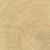 Emil Dlažba W-Circles oak 10x10 cm mat 00ENJD68