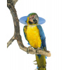 Bird Collar Límec ochranný plastový pro ptáky 10cm