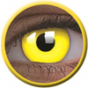 MaxVue Vision ColourVue Glow Yellow Crazy ročné 2 šošovky
