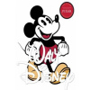 Art of Walt Disney, The