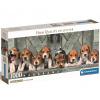 Beagle šteňatá 1000 dielikové panoramatické puzzle 98x33cm - Clementoni