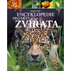 Moderní encyklopedie pro děti - Zvířata - Michael Leach