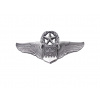 Odznak US Air Force - Navigator • Observer Aircraft Master • full size