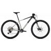 SUPERIOR XP 6.6, matte brushed alu, 2025 - L 19
