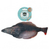 Totally Hooked Halibut S 20 cm