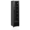Chladiaca skriňa presklené dvere Tefcold FS176H Black