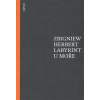 Labyrint u moře - Herbert Zbigniew