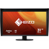 LCD monitor 31.1