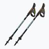 Nordic walking palice Fizan R-evolution grey/ocean