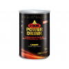 X-TREME Power Drink citron 700 g (Inkospor - Německo) M022-037