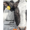 Skutečný život hospodářských zvířat - O - Lena Zeise