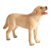Animal Planet Labrador