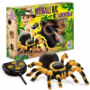 Buki RC Tarantule