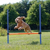 Trixie AGILITY prekážka 3 tyče/129x115x3cm