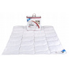 Perina, paplón - Paplón 200x220 cm Antialergický DORMI DUO WINTER (Cait 200x220 cm anti -allergické duo duo zima)