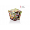Bartek Candles Fruitful Delight - Tropical Salad 115 g