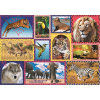 TREFL Animal Planet: Divoká příroda 1000 dielov