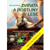 Zvířata a rostliny v lese
