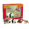 Schleich Wild Life Asie štartovacia súprava 4059433933504