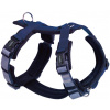 Nobby postroj pro psy DAILY WALK COMFORT XS modrá
