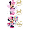 CUKROVÁ TLAČ Opłatek na Tort Cukrová hmota Minnie Mouse Miki Donald 44