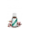 Karel Hadek Exkluzívny éterický olej MANUKA - 10 ml