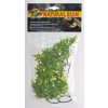 Zoo Med Bolivian Croton S