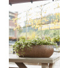 Twist boat planter bronze 56x23x20 cm