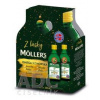 Orkla Health AS MOLLER´S Omega 3 RYBÍ OLEJ + vitamín D Duo balenie, citrónová príchuť 2x250 ml