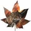 Fototapeta - FT5606 - Javorový list - leopard 208cm x 208cm - Vliesová fototapeta