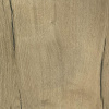 Forest YLM gresová dlažba rektifikovaná 60 x 60 x 2 cm