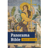 Panorama Bible – Nový zákon - Stephen J. Binz