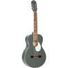 Klasická gitara RGA-PLT Ortega