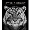 David Yarrow Photography - Yarrow, David