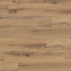 Cedar Brown (0850)