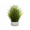 Izbové rastliny Atmosphera tráva zelená v bielom kvetináči 40 cm