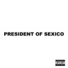 Stein 27 - President Of Sexico CD