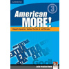 American More! Level 3: Extra Practice Book - Herbert Puchta