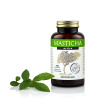 Apothecary Masticha Active 100 kapsúl