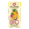 Nektár multi ovocný s mrkvou 200 ml BIO HOLLINGER