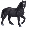 Mojo Kôň Percheron