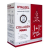 HYALGEL COLLAGEN MAXX Vianočné balenie tekutý prípravok s pomarančovou príchuťou (1+1 zdarma) 2x500 ml (1000 ml), 1x1 set