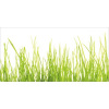 Obklad do kúpeľne mySPOTTI aqua Gras 90x45 cm