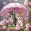 NORIMPEX Diamantové maľovanie Mačiatka pod dáždnikom 30x40cm
