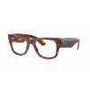 Ray-Ban RX0840V MEGA WAYFARER 2144