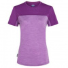 Icebreaker Merino 125 Cool-Lite Sphere III SS Tee Colour Block Women