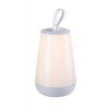 Rabalux FRANCO LED dekoratívna lampa 76019