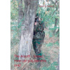 Airsoft - Sniper (Taylor E. Baxter)(Brožovaná)