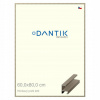 DANTIK rám na obraz 60 x 80 champagne