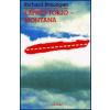 Expres Tokio - Montana - Richard Brautigan